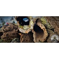 SELECTED CORK TUBES MYSTERY BOX 5KG